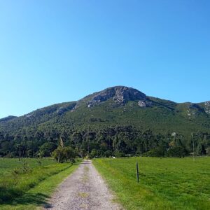 Lady Slipper Day Hike
