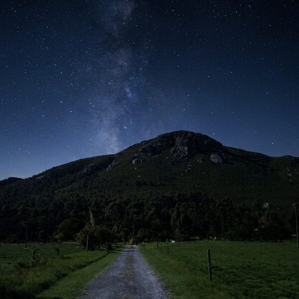 Lady Slipper Night Hike